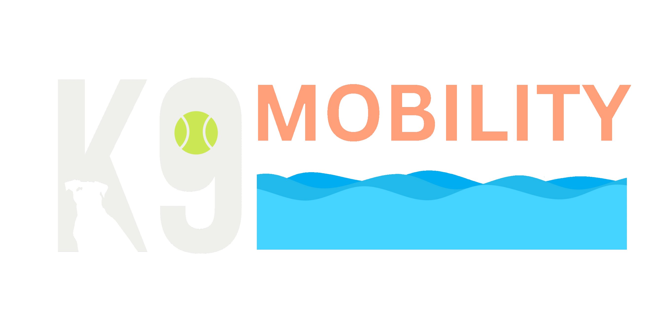 Dog Mobility, Wellness and Fitness | K9 Mobility Center